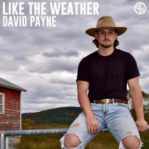 ดาวน์โหลดและฟังเพลง Like The Weather พร้อมเนื้อเพลงจาก David Payne