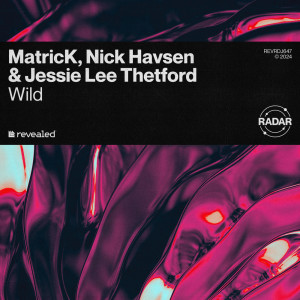Nick Havsen的专辑Wild