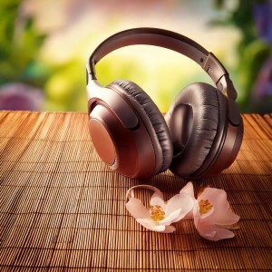 Hz Anti Stress Frequencies的專輯Rhythmic Escape: Hip Hop Spa and Massage Vibes
