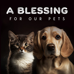Album A Blessing For Our Pets (Deeply Calming Music for Animals, Unconditional Love and Support Songs) oleh Pet Care Club