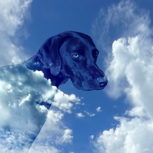 收聽KEENAN MATHIAS的Give It All歌詞歌曲