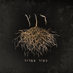 收听כפיר צפריר的מקסיקו歌词歌曲