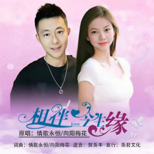 Listen to 相伴今生缘（对唱版） (伴奏) song with lyrics from 向阳梅花