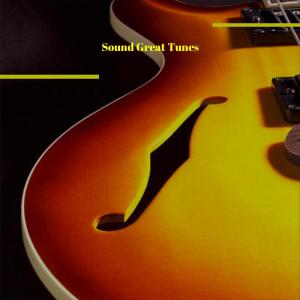 Various Artists的專輯Sound Great Tunes