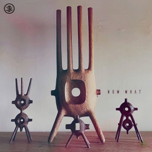 Listen to The ring (Summer mixes) song with lyrics from Zen Baboon