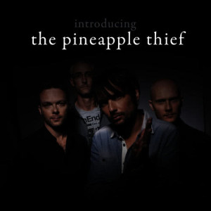 ดาวน์โหลดและฟังเพลง Different World พร้อมเนื้อเพลงจาก The Pineapple Thief