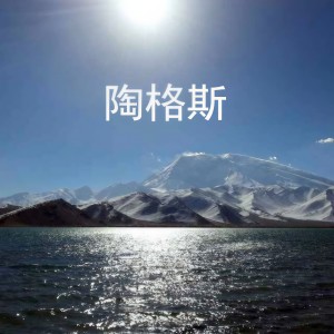 Listen to 喜欢你的名字 song with lyrics from 陶格斯