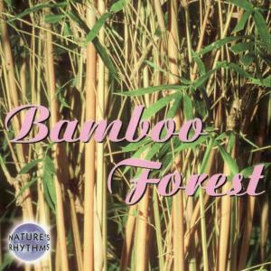 อัลบัม Nature's Rhythms - Bamboo Forest ศิลปิน Columbia River Group Entertainment