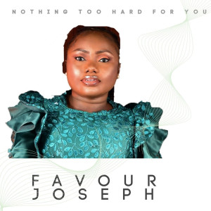 Album Nothing Too Hard for You from Favour Joseph