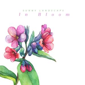 Sunny Landscape的專輯In Bloom