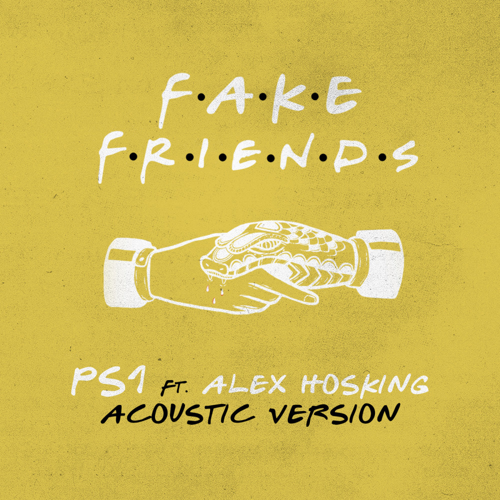Fake Friends (Acoustic)