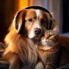 default album img