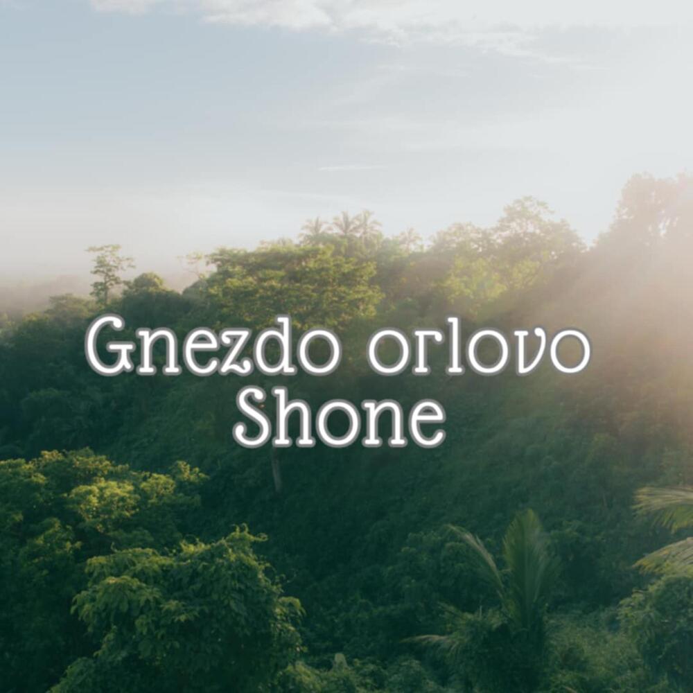 Gnezdo orlovo