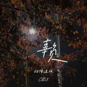 Album 辜负 (0.8降速版) oleh CR3.