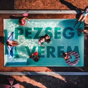 Album Pezseg a vérem from 