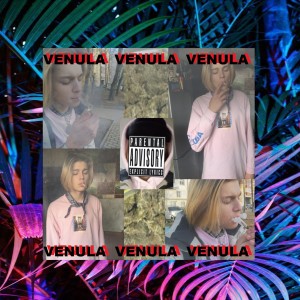 ดาวน์โหลดและฟังเพลง Богатый พร้อมเนื้อเพลงจาก Venula