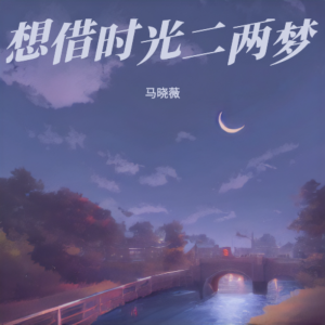 Album 想借时光二两梦 from 马晓薇