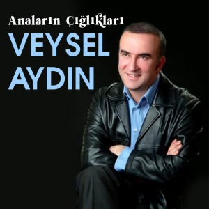 Listen to Anaların Çığlıkları song with lyrics from Veysel Aydın