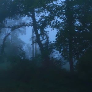 Album peaceful dreams from alxmxv