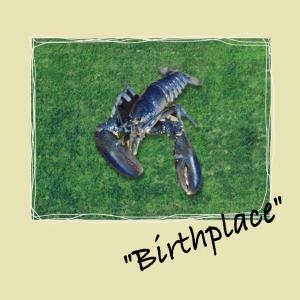 ดาวน์โหลดและฟังเพลง Irony Birthplace (Explicit) พร้อมเนื้อเพลงจาก The Giraffes