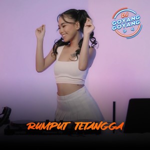 收听DJ Goyang Goyang的Rumput Tetangga歌词歌曲