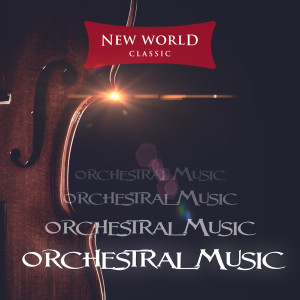 Listen to No. 8 in G Minor song with lyrics from RTS Symphony Orchestra