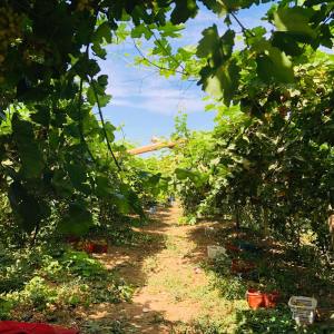 Dengarkan Sleep Music lagu dari Relaxing Music dengan lirik