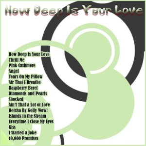 Neon 9的專輯How Deep Is Your Love