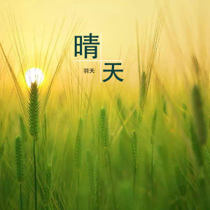 Listen to 晴天 (伴奏) song with lyrics from 羽天