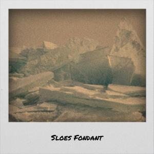 Various的专辑Sloes Fondant