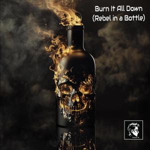 收聽Frank G的Burn It All Down (Rebel in a Bottle)歌詞歌曲