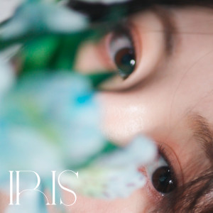 ดาวน์โหลดและฟังเพลง 다(feat. Wooks) พร้อมเนื้อเพลงจาก Raphan