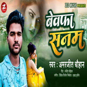 Album Bewafa Sanam from 