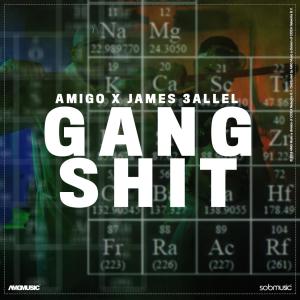 Listen to Gang Shit (Explicit) song with lyrics from Amigo