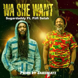 ดาวน์โหลดและฟังเพลง WA SHE WANT (feat. Fiifi Selah) พร้อมเนื้อเพลงจาก Sugardaddy