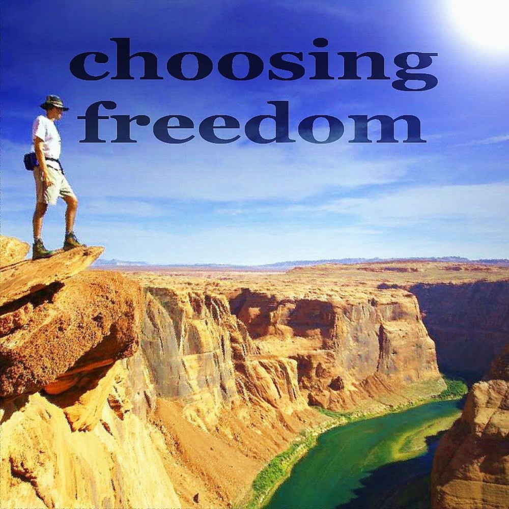 Choosing Freedom (Bitfiend Deep House Mix)
