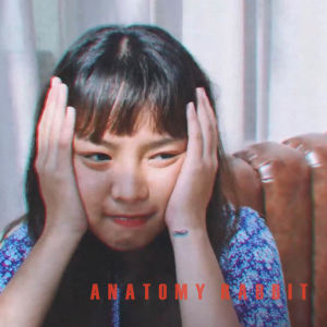 ดาวน์โหลดและฟังเพลง ธรรมดาแสนพิเศษ (Extraordinary) พร้อมเนื้อเพลงจาก ANATOMY RABBIT