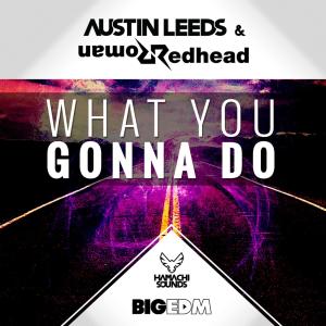 Listen to What You Gonna Do (Original Mix) song with lyrics from Redhead Roman