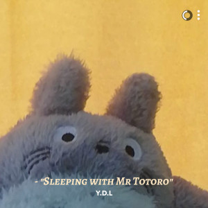 Dengarkan lagu Sleeping with Mr Totoro nyanyian Young Daily Light dengan lirik