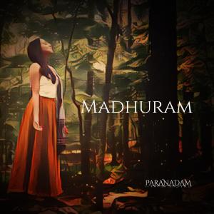 ดาวน์โหลดและฟังเพลง Payoji Maine (feat. Nabeel Khan) พร้อมเนื้อเพลงจาก ParaNadam