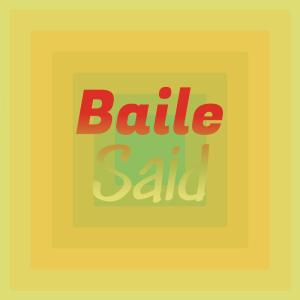 อัลบัม Baile Said ศิลปิน Various