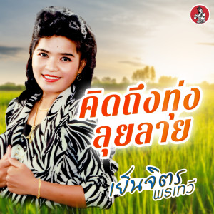 Album Khit Thueng Thung Lui Lai - Single from 