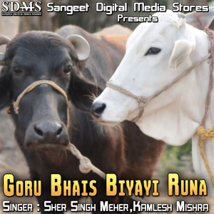 Album Goru Bhais Biyayi Runa from 
