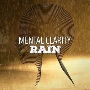 ดาวน์โหลดและฟังเพลง Mallard After a Shower พร้อมเนื้อเพลงจาก Rainfall