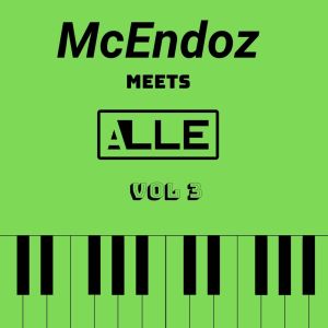 ดาวน์โหลดและฟังเพลง But She's Not พร้อมเนื้อเพลงจาก Mcendoz