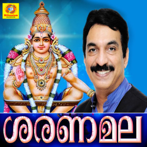 ดาวน์โหลดและฟังเพลง Papangal Pokkunna พร้อมเนื้อเพลงจาก Unni Menon