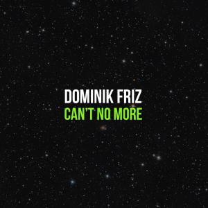 ดาวน์โหลดและฟังเพลง Can't No More พร้อมเนื้อเพลงจาก Dominik Friz