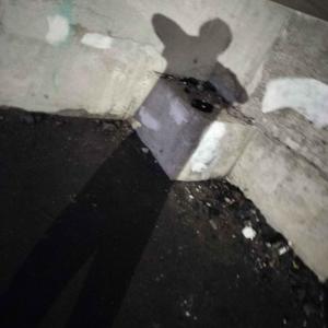 收聽spellscasted的opsec (Explicit)歌詞歌曲