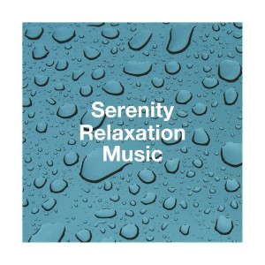 Serenity Relaxation Music dari The Relaxation Providers
