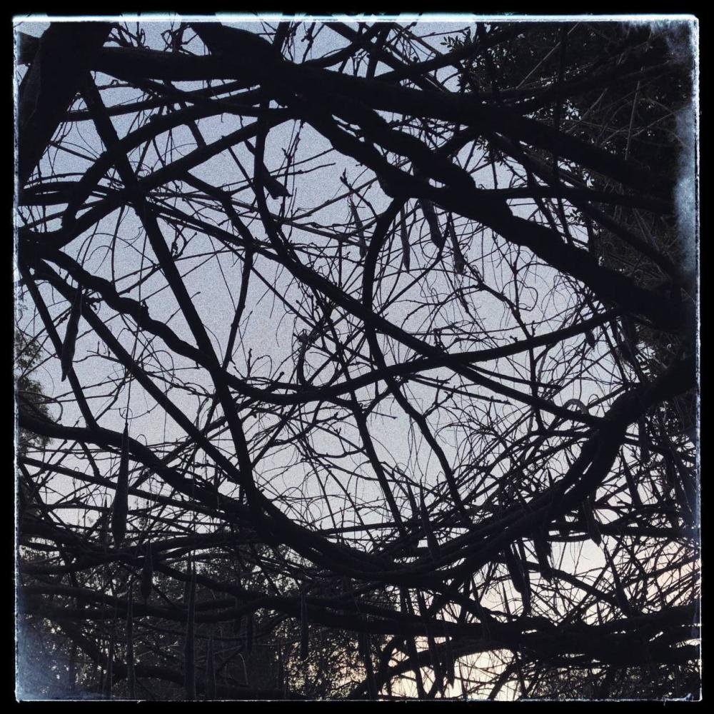 LACUNE (Explicit)